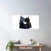 cpostermediumsquare product1000x1000.2 22 - The Dragon Prince Store