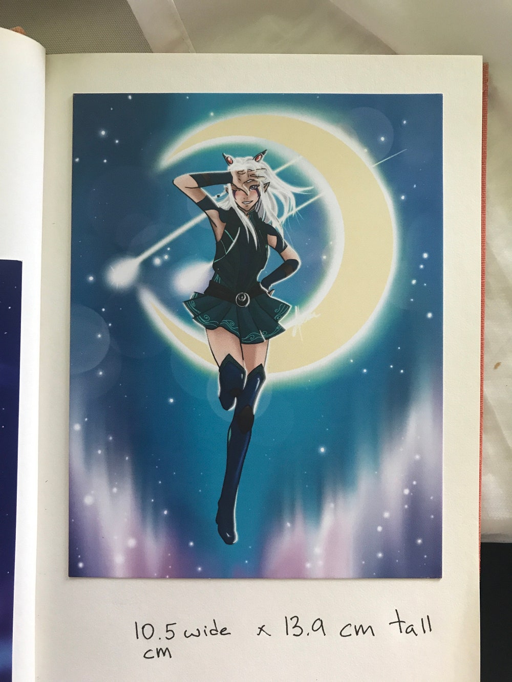 Sailor Rayla & Tuxedo Callum Wall Art
